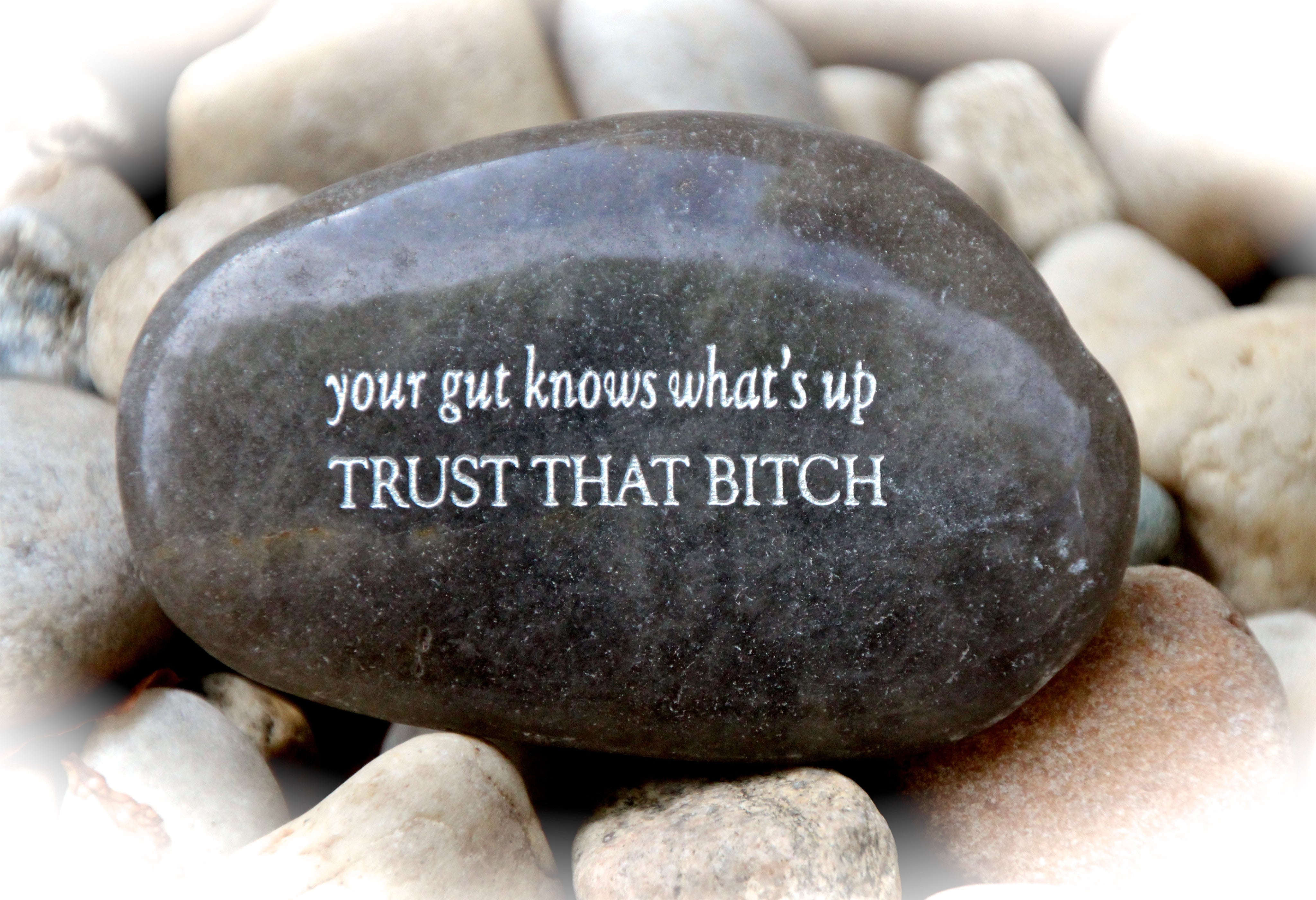 Your Gut Knows What's Up, Trust That Bitch ~ Engraved Rock